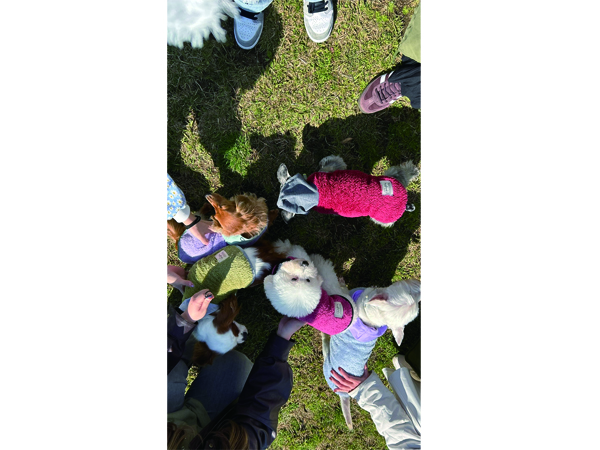 卒業生と卒業犬で卒業旅行♪